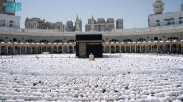 شهادات أبناء يكشفون كيف أصبحت لحظات الضجر من والديهم ندماً يلازمهم العمر كله. 1